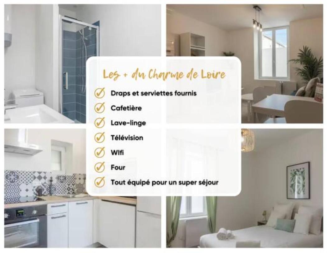 Charme De Loire A St Ay *T2* Apartamento Saint-Ay Exterior foto